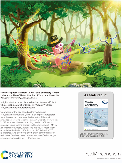 1668998102966063.png 图片1_副本.png