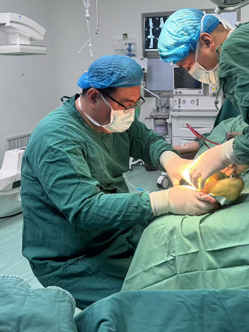 1741334557140799.jpg 照片1_副本.jpg