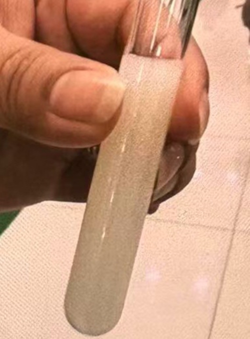 微信图片_20260213103504_8377_991_副本.jpg 微信图片_20260213103504_8377_991_副本.jpg